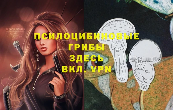 2c-b Лабытнанги