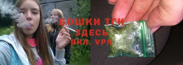 стаф Ладушкин