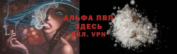 стаф Ладушкин