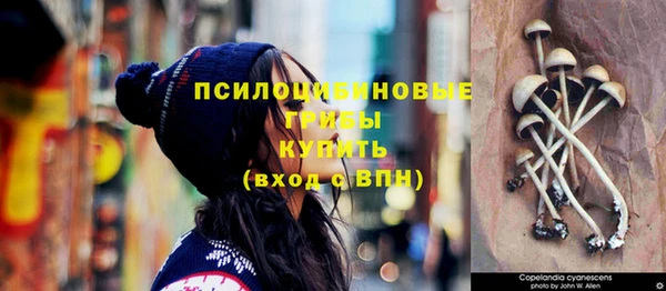 2c-b Лабытнанги