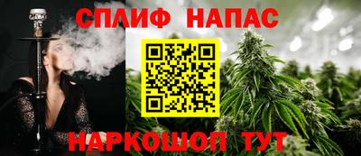 сатива Ирбит