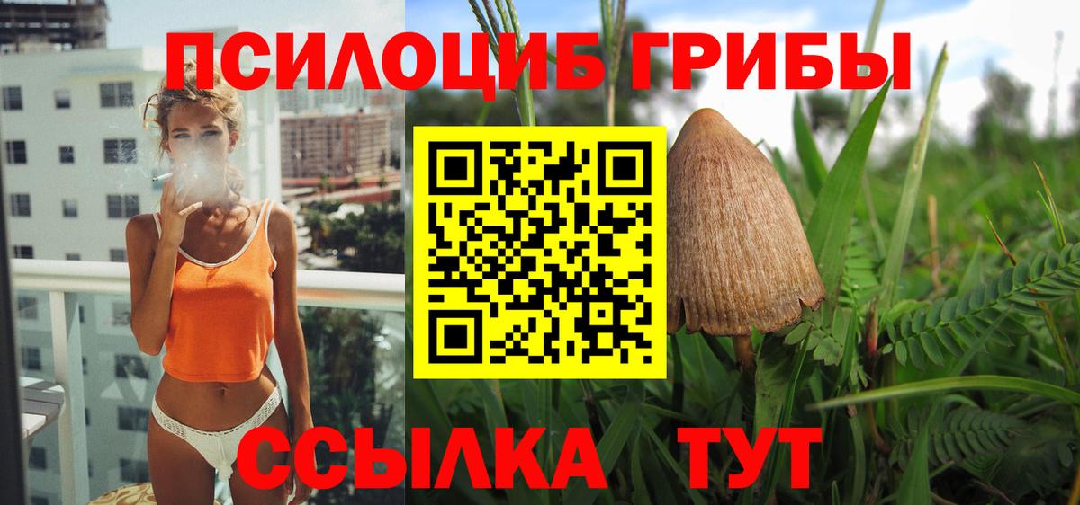 Галлюциногенные грибы Cubensis Переславль-Залесский